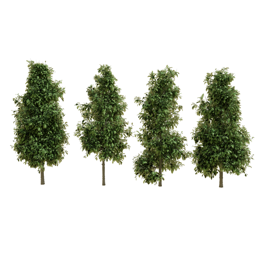 Tree Pack | 4 High Quality Trees
