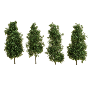 Tree Pack | 4 High Quality Trees
