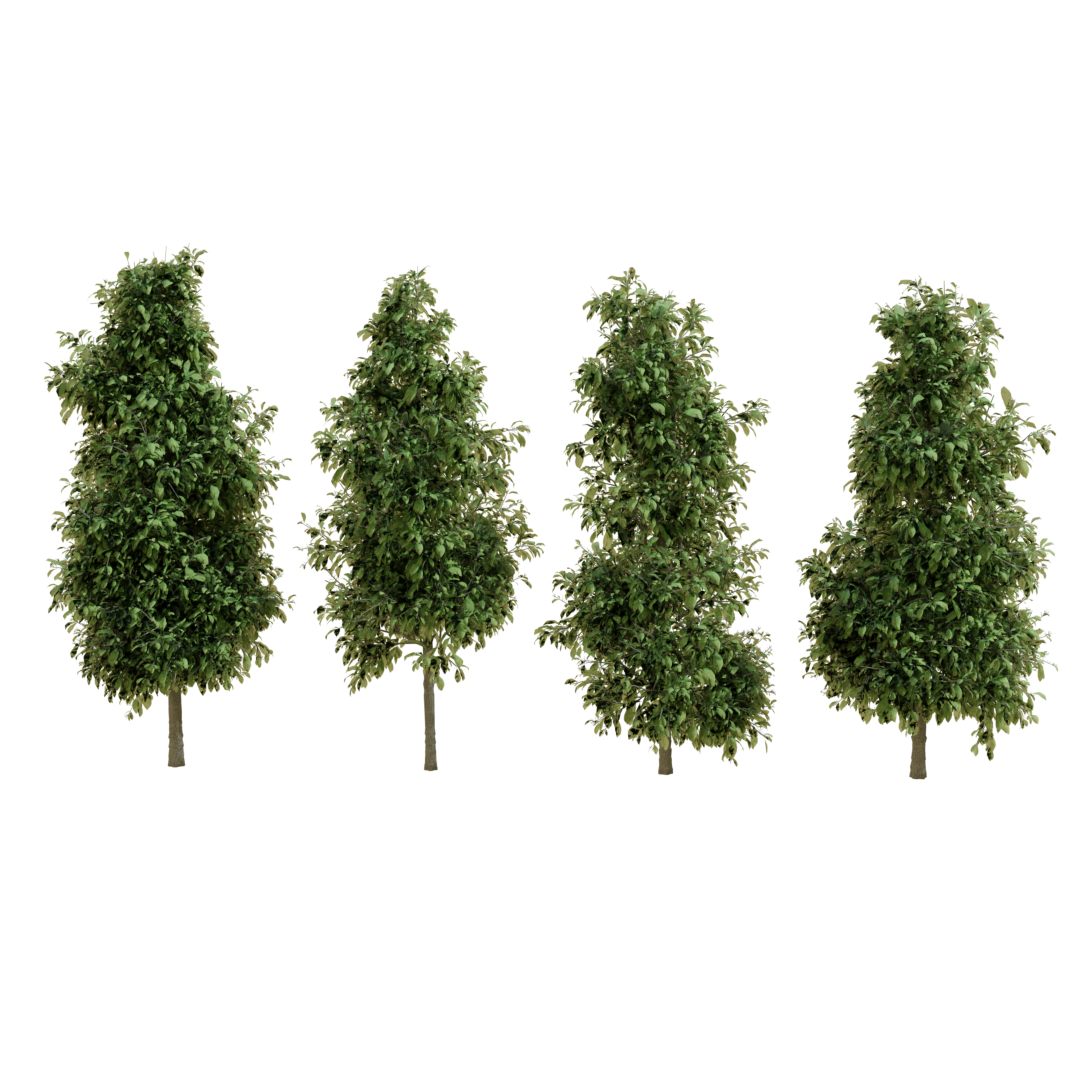Tree Pack | 4 High Quality Trees