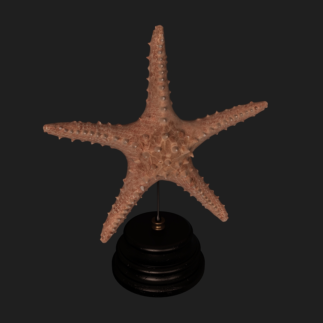 Starfish Table Sculpture 3D Model Starfish Table Sculpture 3D Model