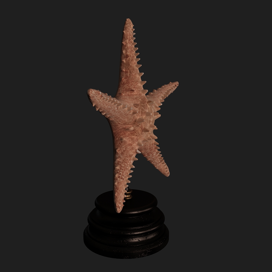 Starfish Table Sculpture 3D Model Starfish Table Sculpture 3D Model