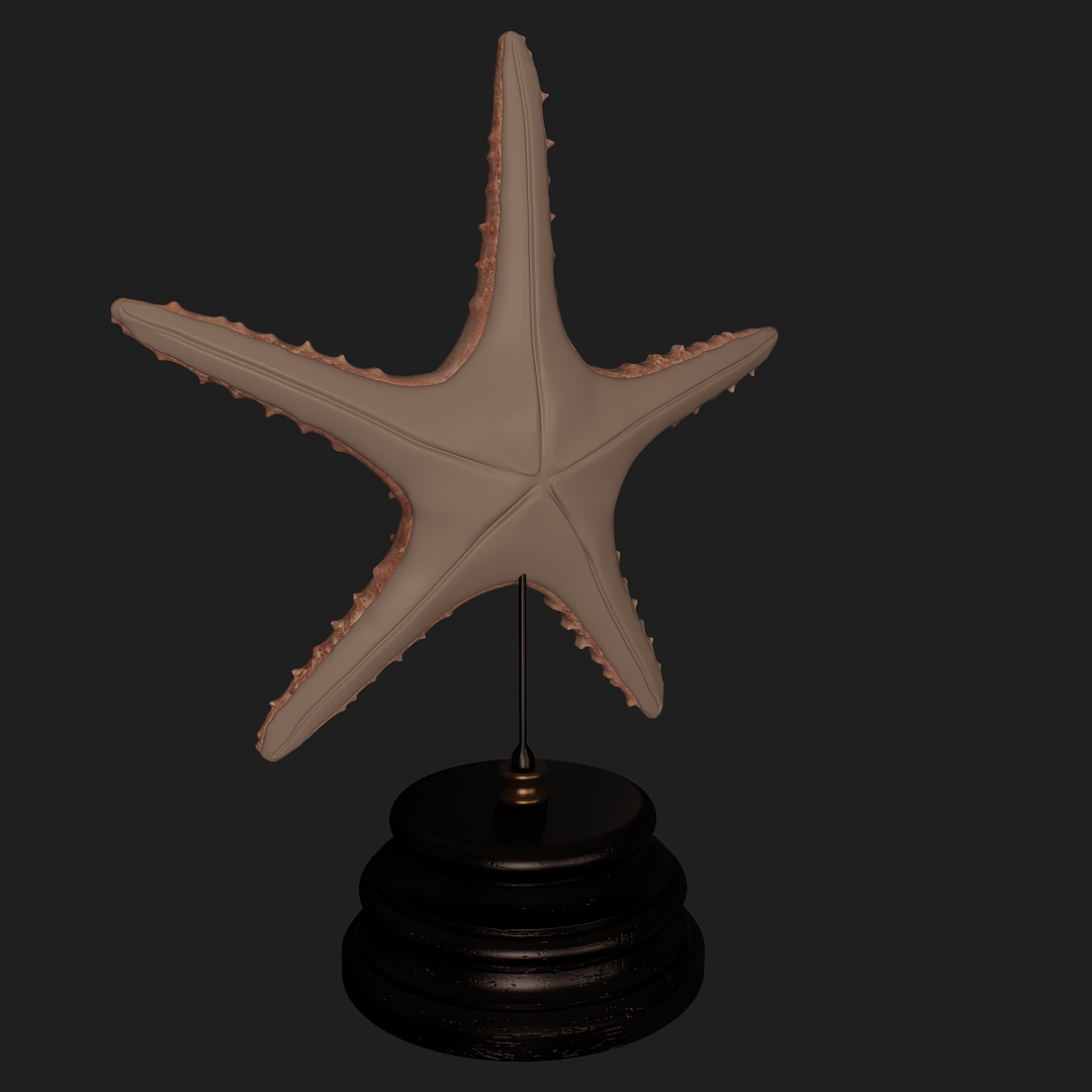 Starfish Table Sculpture 3D Model Starfish Table Sculpture 3D Model