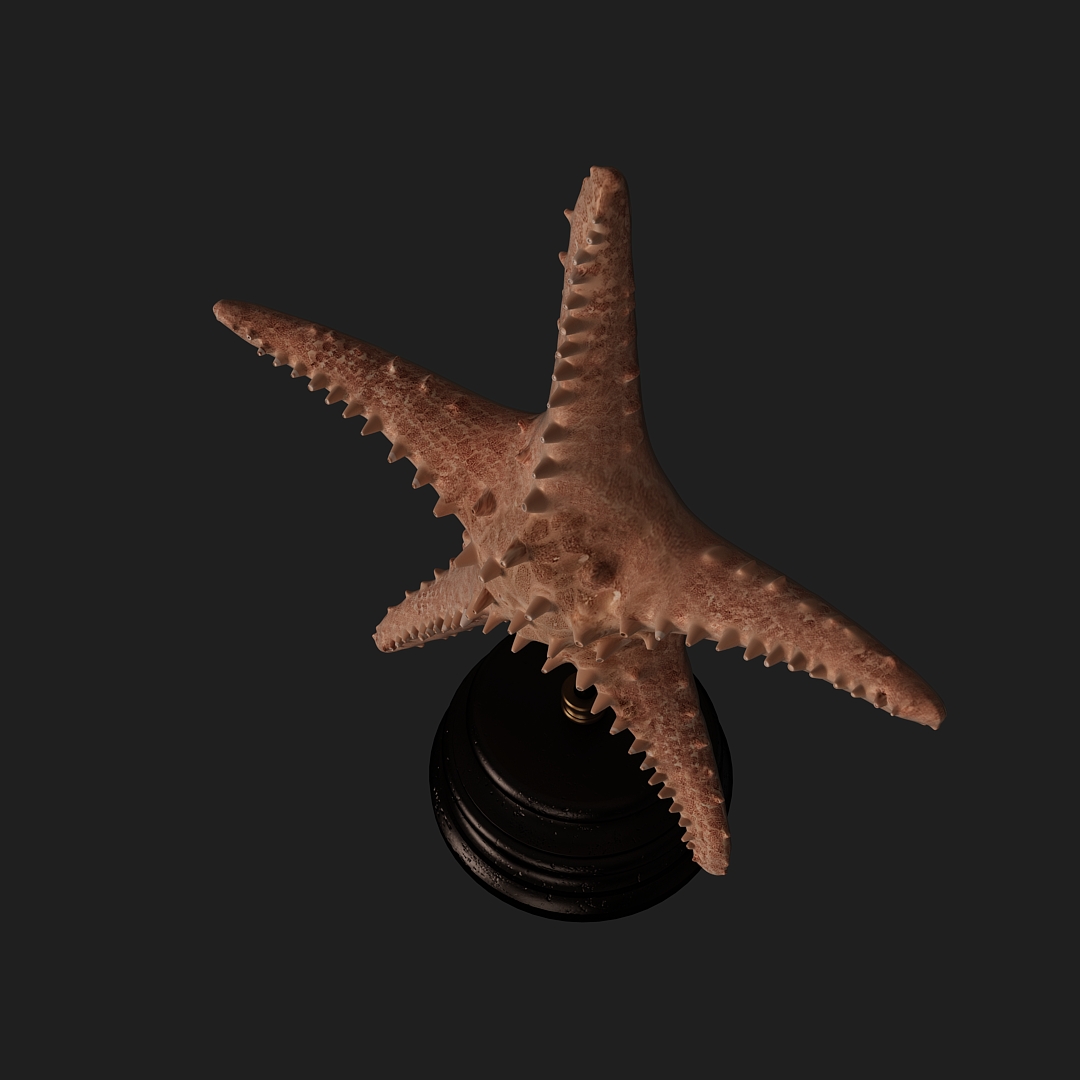 Starfish Table Sculpture 3D Model Starfish Table Sculpture 3D Model