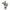 Rubber Plant
