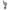 Rubber Plant