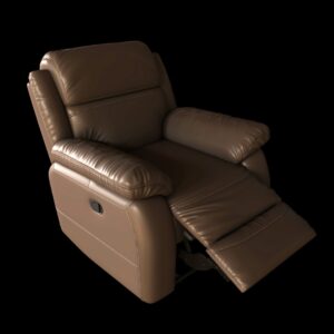 Leather Lounge Chair