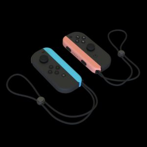 Nintendo Switch Controller