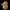 Psyduck Character 3D Model | 3Diary